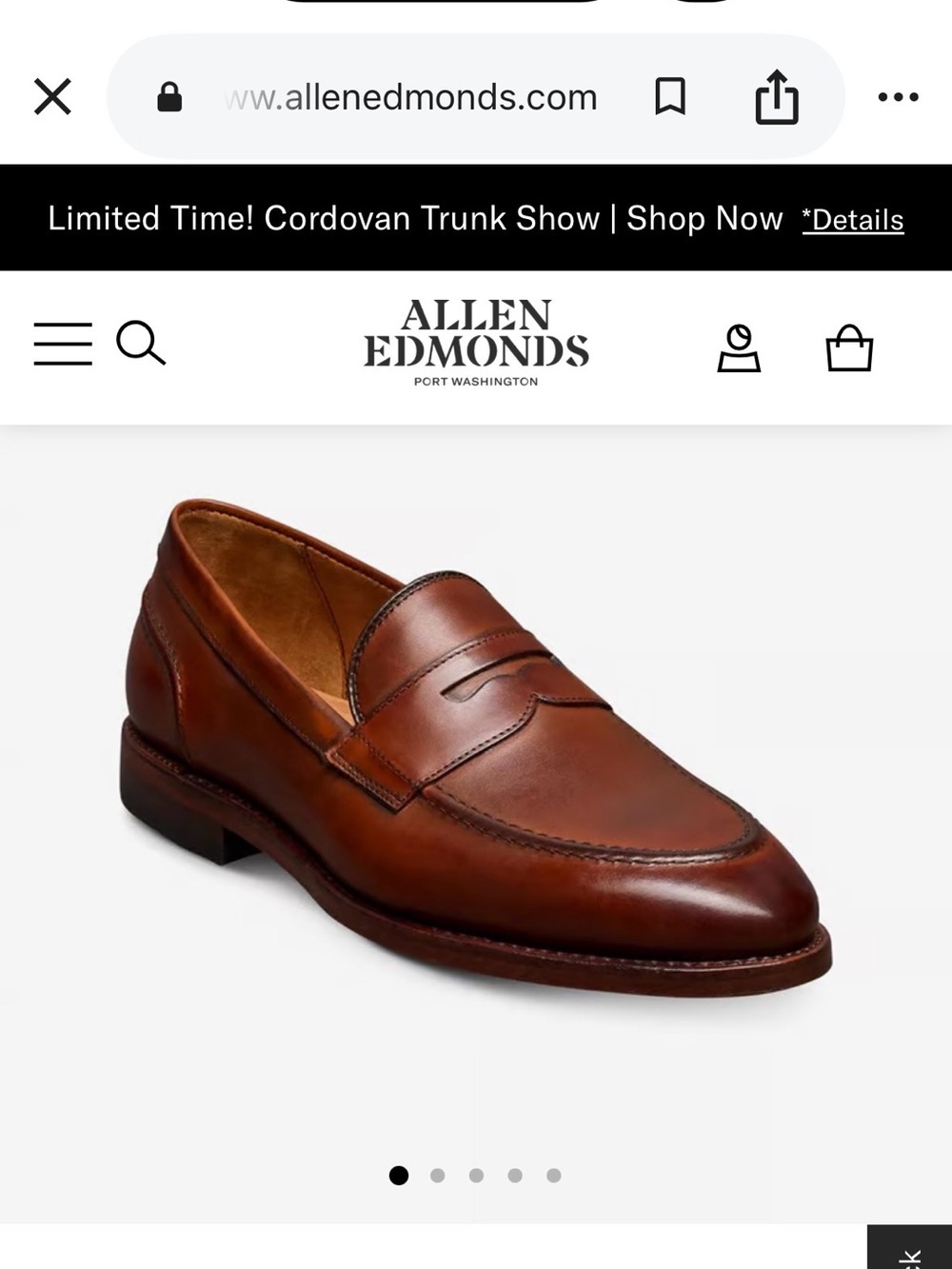Men's Allen Edmonds Randolph 2.0 Leather Penny Loafers